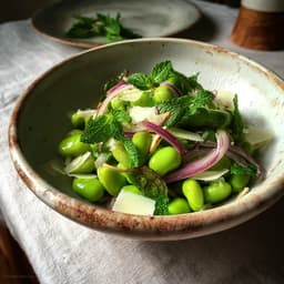 Fresh Fava Bean Salad with Mint, Pecorino, and Lemon Dressing